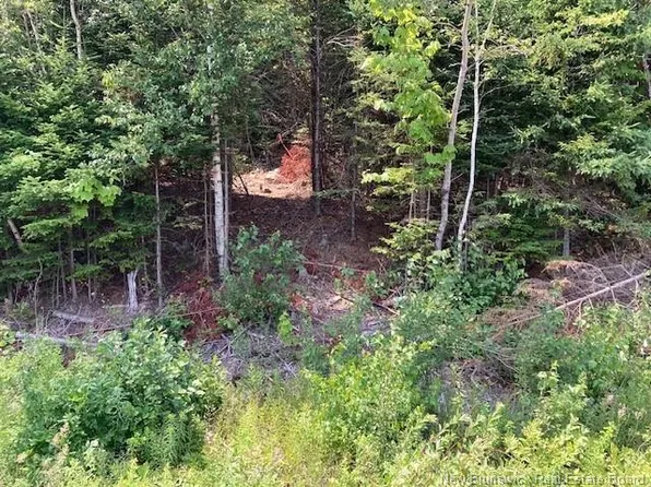 0 Frye Rd, Saint Andrews, NB E5B 0C4