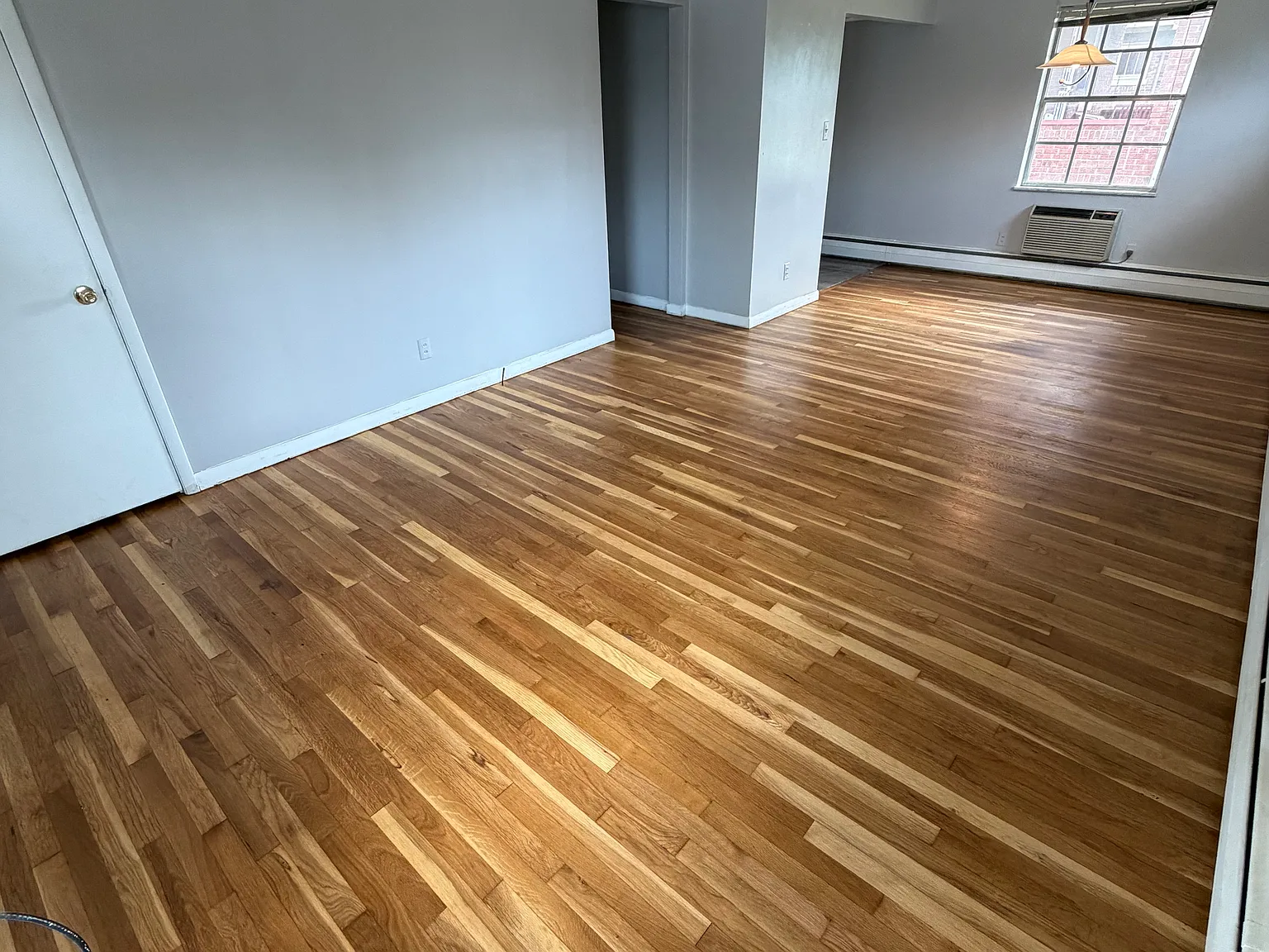 1 bed, 800 sqft, $950 — Photo 3