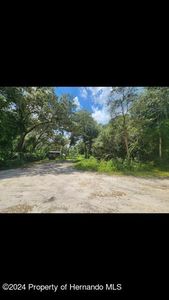 7307 Slingshot Dr, Webster, FL, 33597