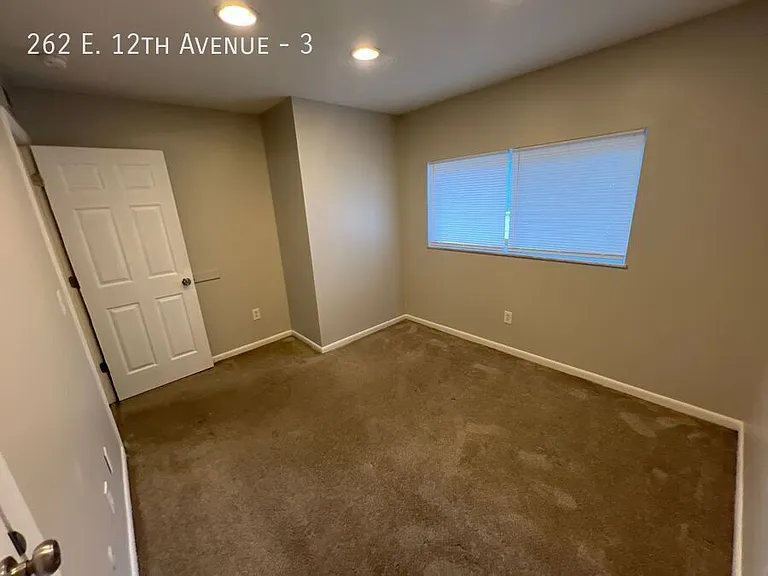 262 E 12th Ave #3 — Photo 18