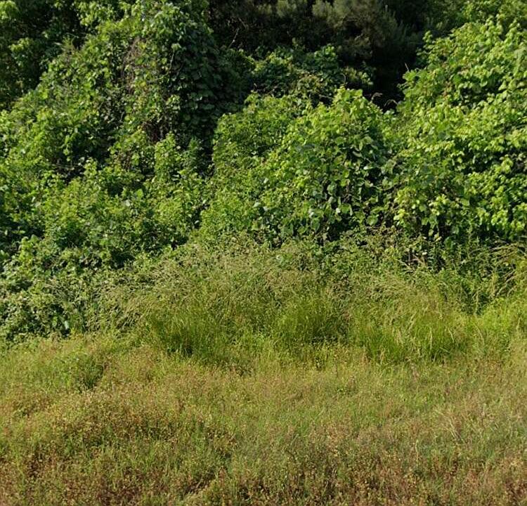 0 Slocum Rd, Hernando, MS 38632 MLS 4047501 Zillow