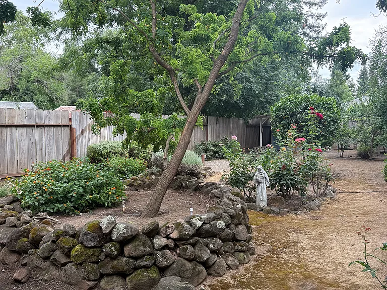 Palm Ave — Photo 10