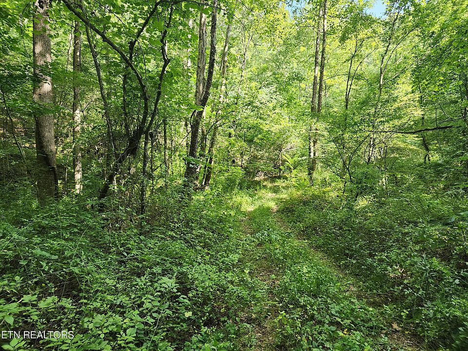 Possum Hollow Rd, Rose Hill, VA 24281 MLS 1238114 Zillow