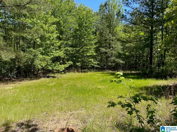 0 New Hope Vlg #4, Randolph, AL 36792