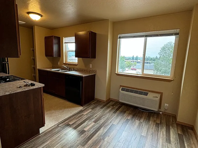 1647 Shindig Dr — Photo 4