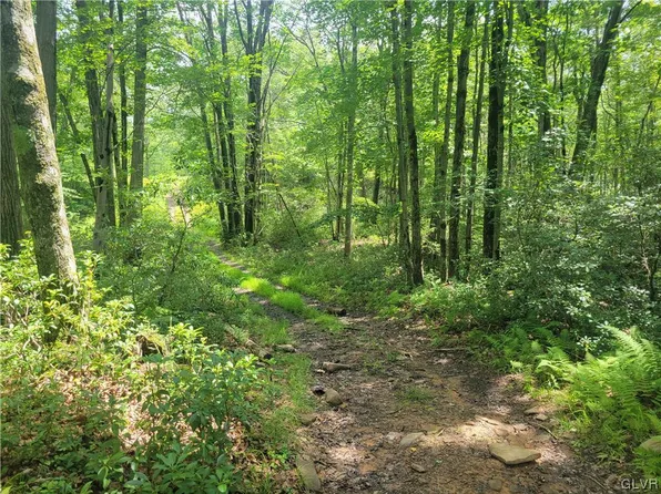 Sky View Lot 19 Dr, Scotrun, PA 18355