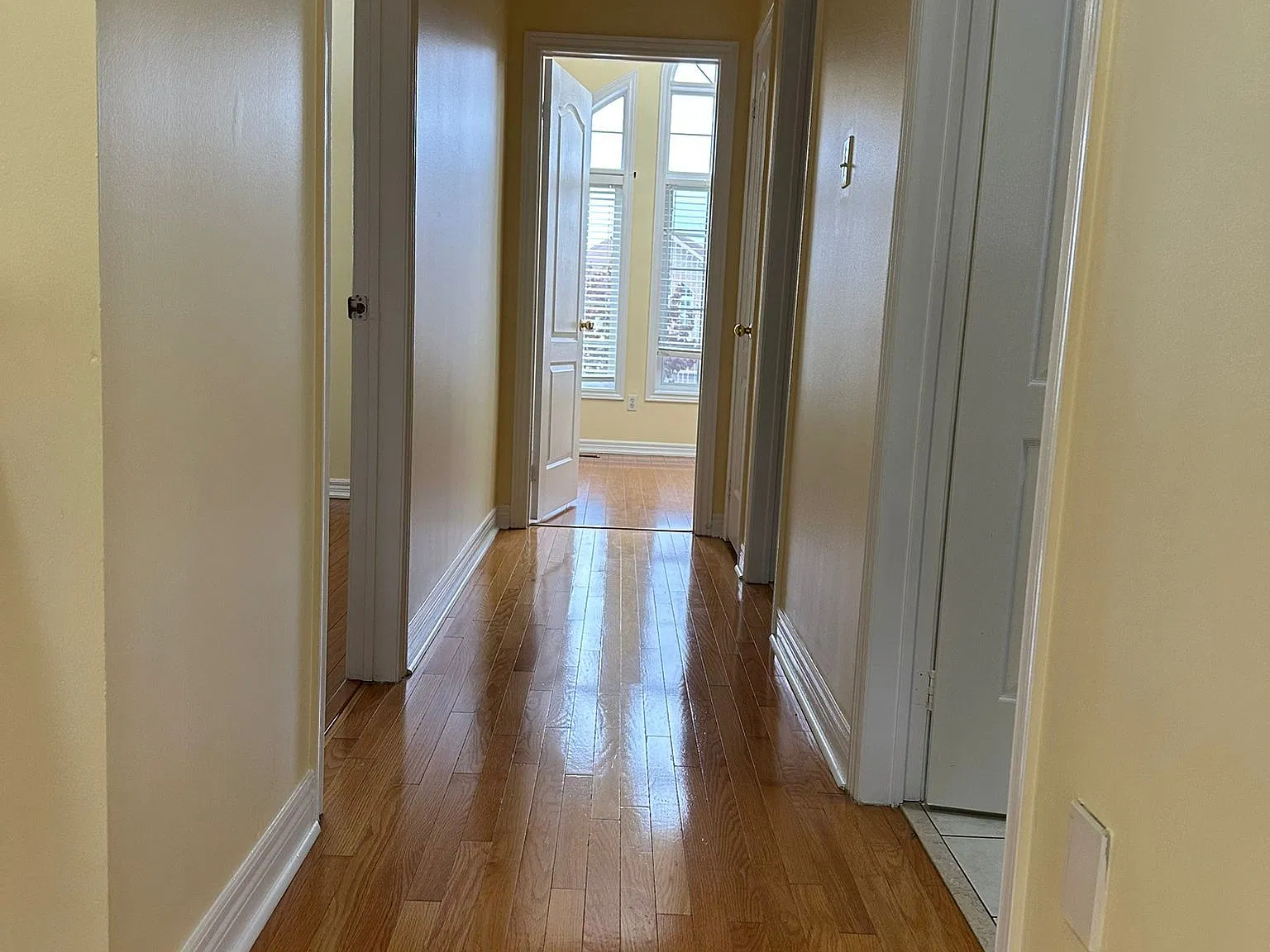 4 bed, $3,600 — Photo 4