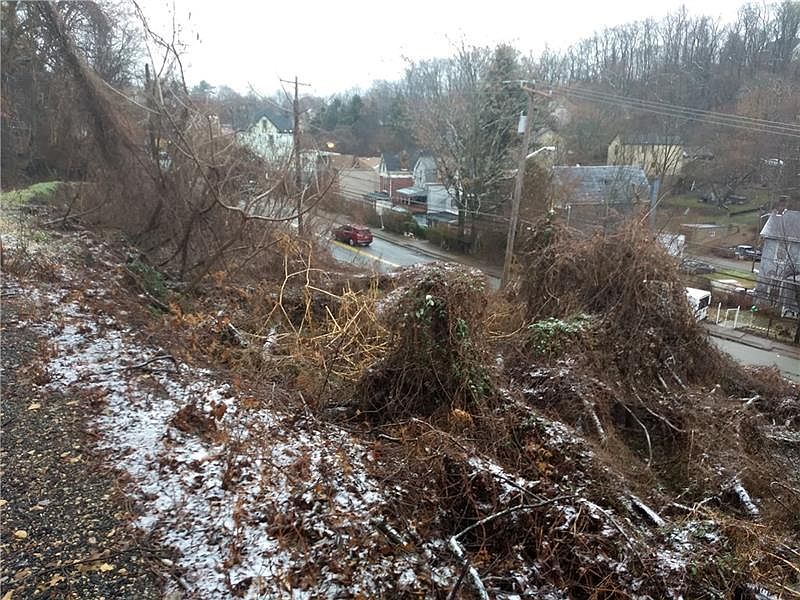 2nd image of 611 Hazelwood Ave