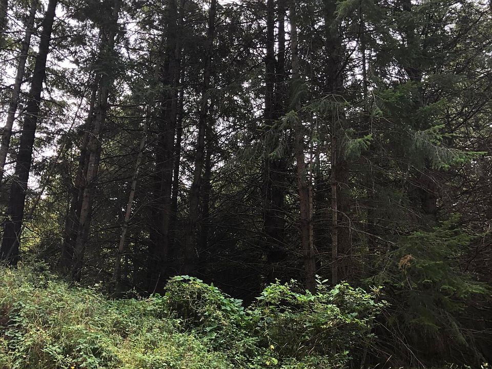 2nd image of 278 Ridge Rd