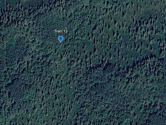 4th image of Trac 13 Aklandsurvey 2009 #46