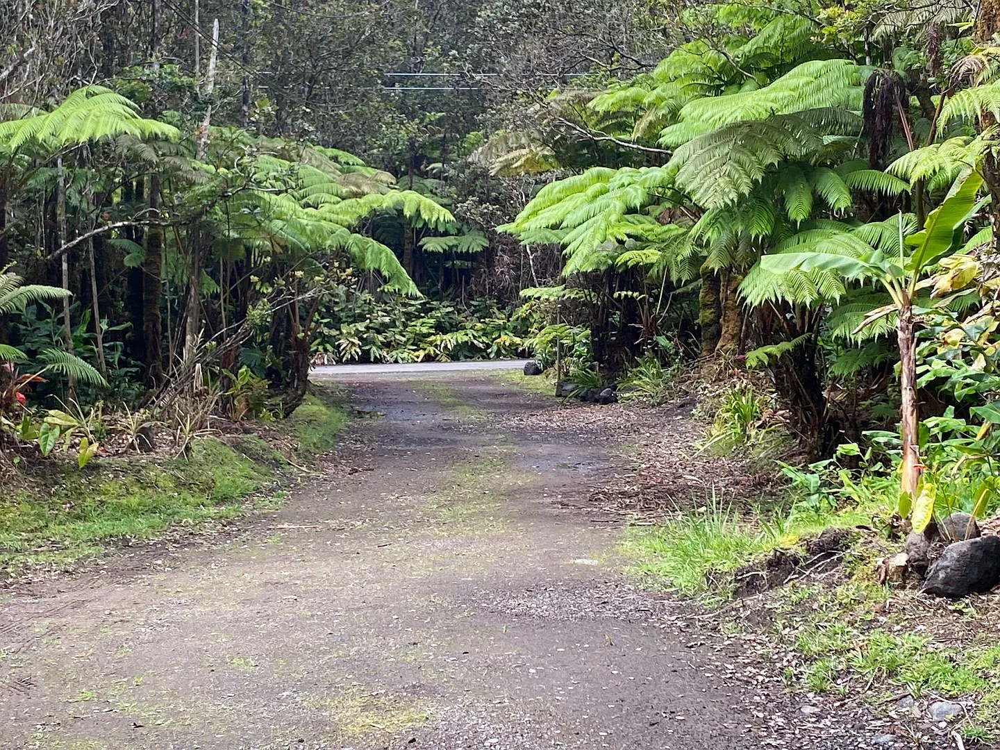 Charming 1-Bedroom Retreat in Volcano — Photo 3