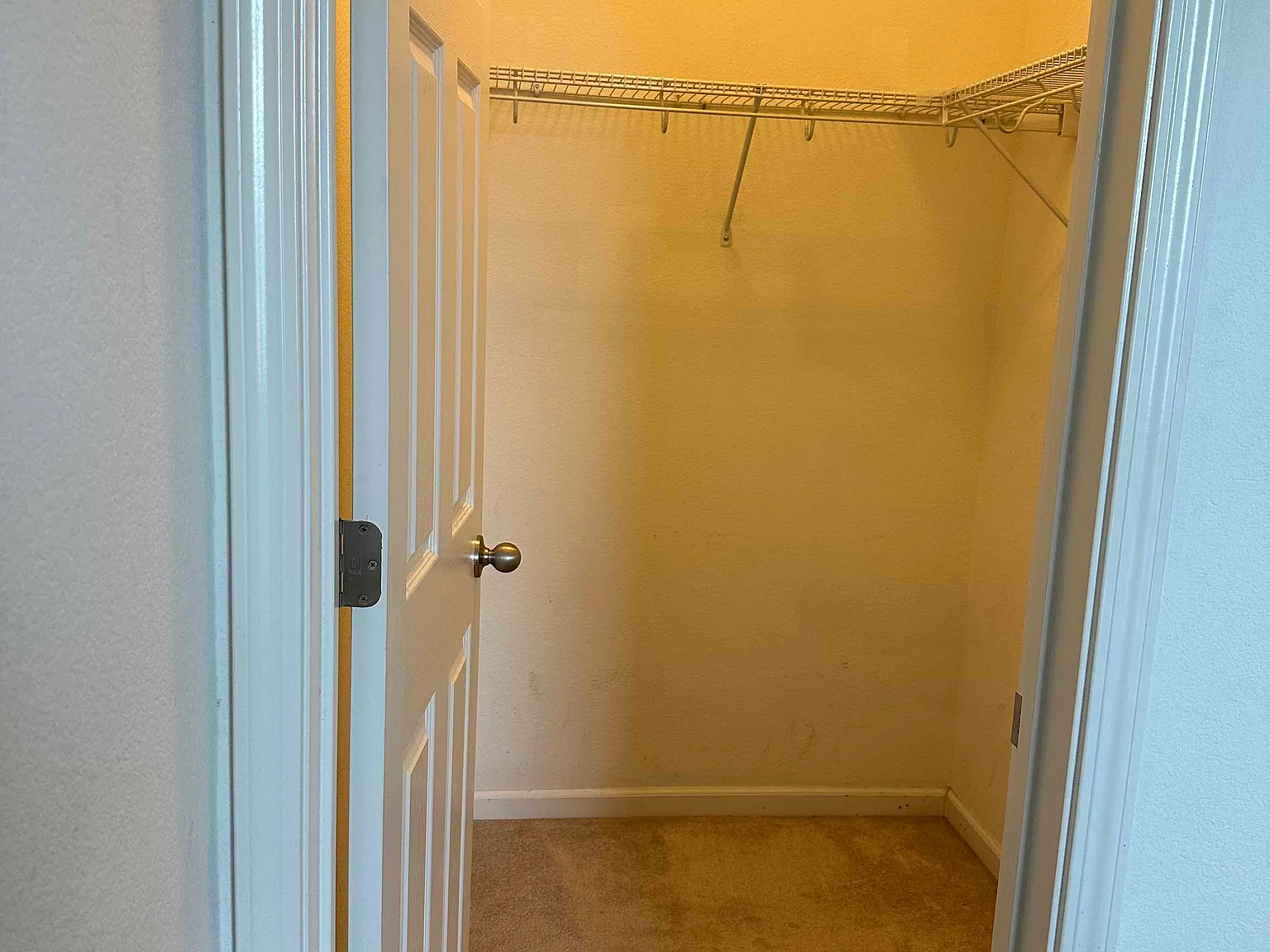 1 bed, $1,695 — Photo 4