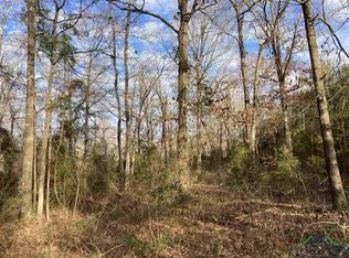 Noonday Rd, Hallsville, TX 75650