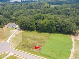 14 Rising Tide, Northport, AL 35475