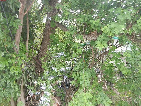 2nd image of 8157 48th Ave N