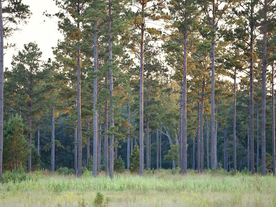 91st image of 1451 River Rd