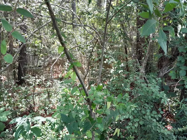 110 Baron Dr, Pineville, SC 29468