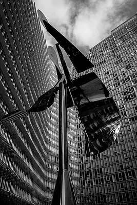 Rented by Two Trees | media 65