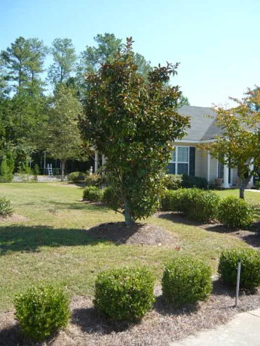 Adorable North Augusta Ranch Home — Photo 3