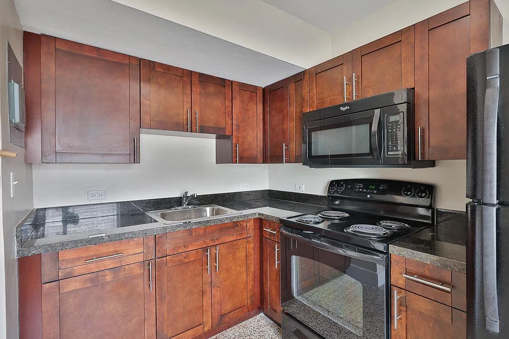 1 bed, 380 sqft, $1,450 — Photo 3
