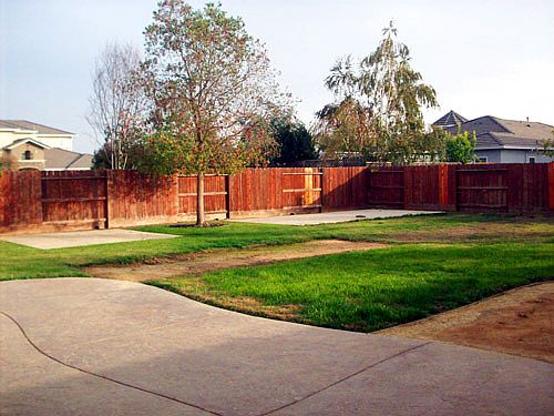 Fenced back yard
