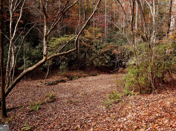 TRACT Ponderosa Dr Tract 2, Epworth, GA 30541