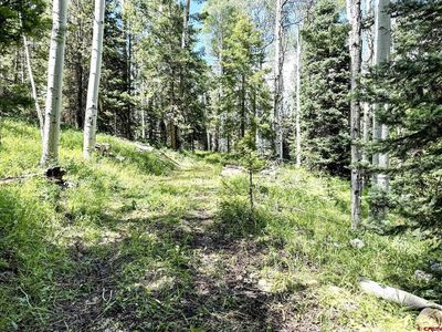 644 Columbine Drive, Cimarron, CO, 81220