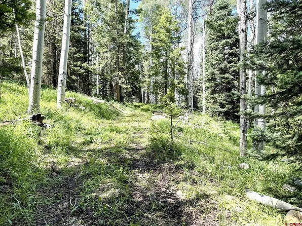 644 Columbine Drive, Cimarron, CO 81220