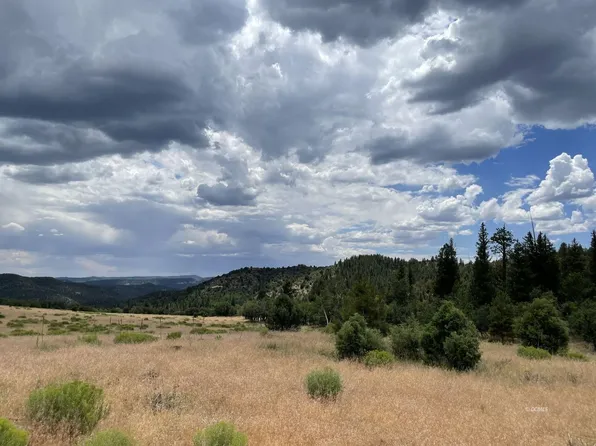 183 N Gobbler Loop, Duck Creek Village, UT 84762
