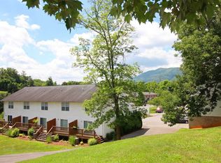 Swadley Park, Johnson City, TN 37601