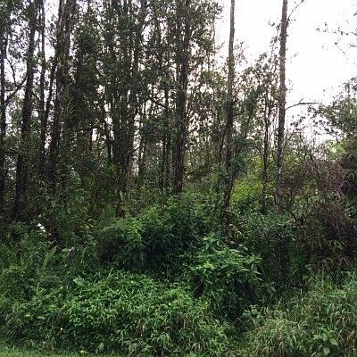 1st image of Sandalwood Ct Lot 2