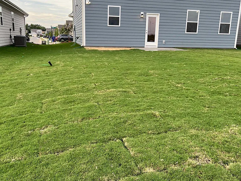 Back view of Home