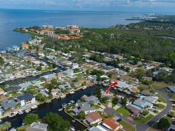 318 Circle Dr, Palm Harbor, FL 34683