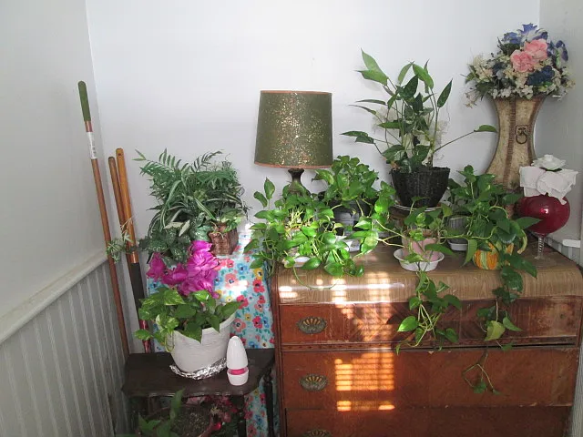 1 bed, 750 sqft, $600 — Photo 2