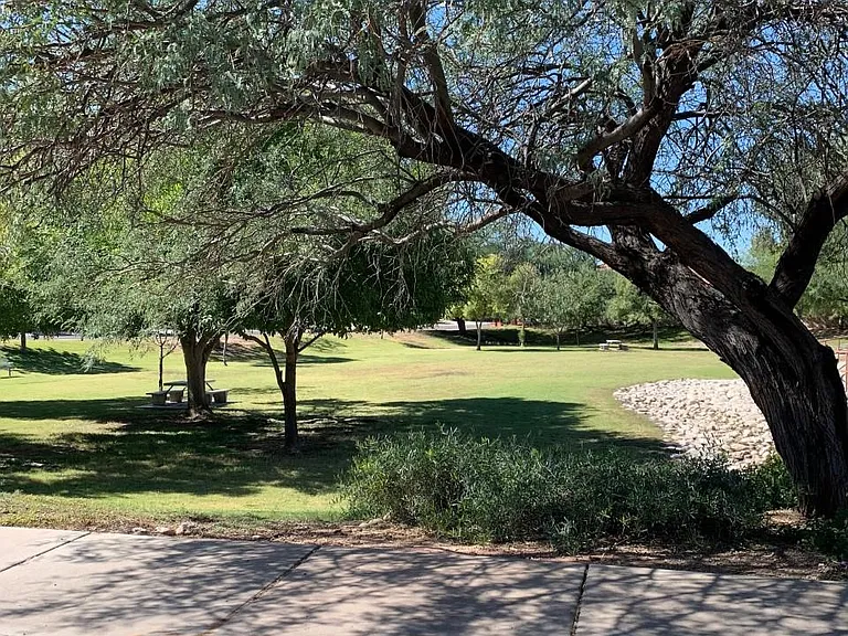 2954 W Corte Olivia — Photo 28