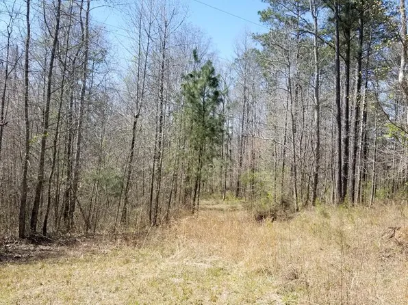 164 Pate Rd, Whitesburg, GA 30185