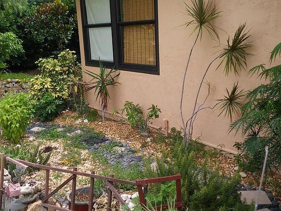 Lush tree covered yard
