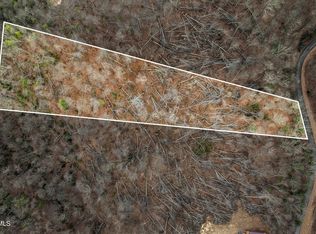 R 6 Callalantee Dr, Mountain City, TN 37683