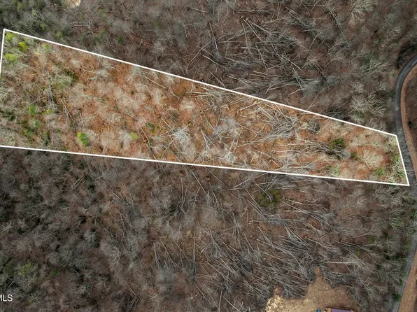 R 6 Callalantee Dr, Mountain City, TN 37683