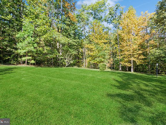 3rd image of 11016 Forest Hollow Dr