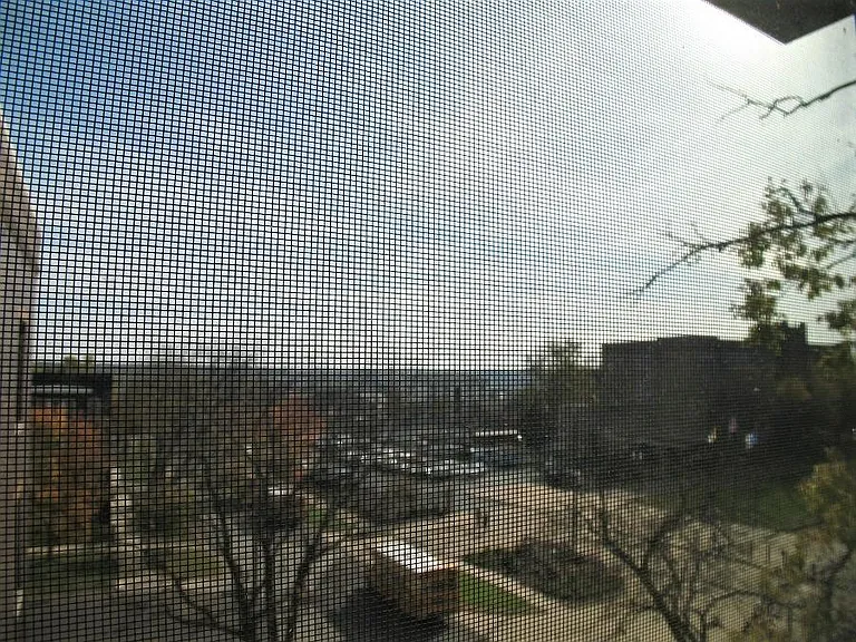 502 Bryan St #D — Photo 11