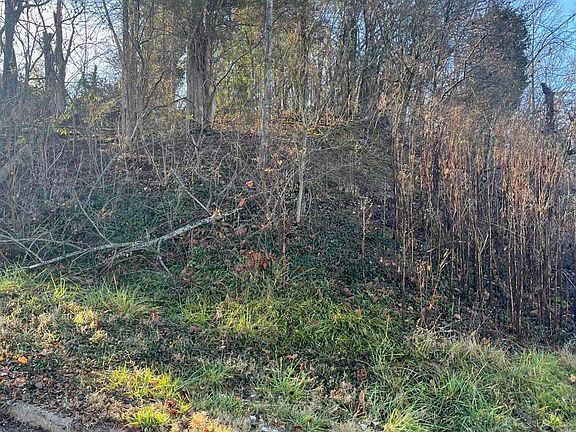 4th image of LOT 10 White St