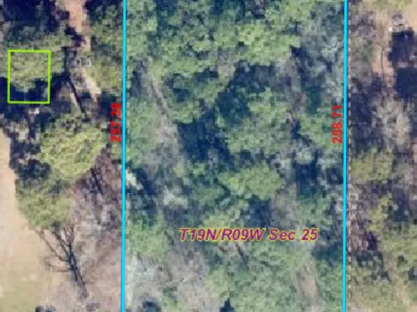 F 1 Normandie Ln, Minden, LA 71055