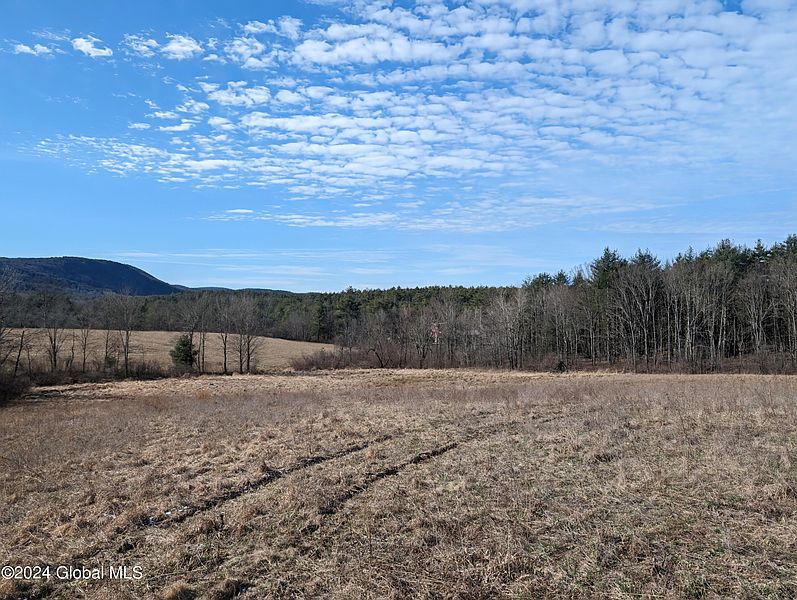 5th image of 59 Parker School Road
