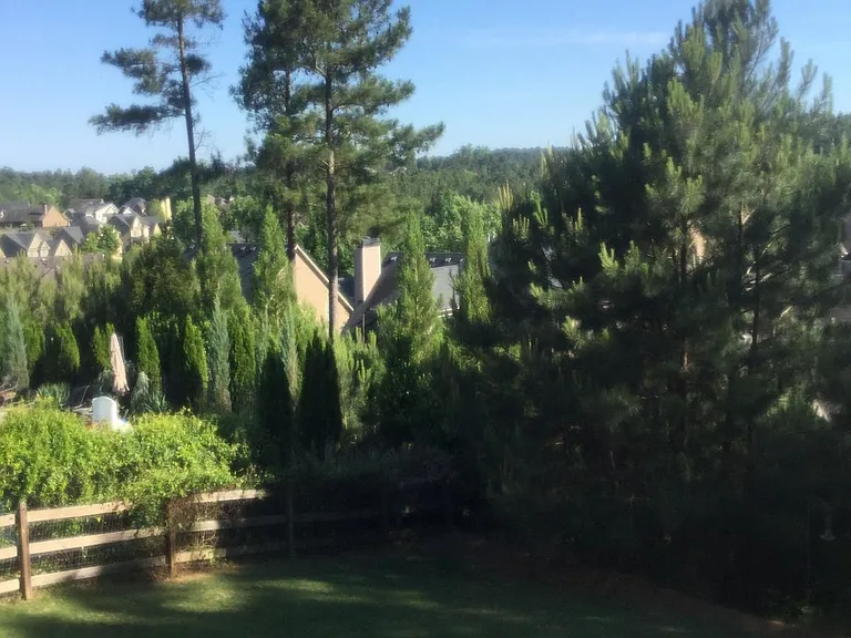 View from deck