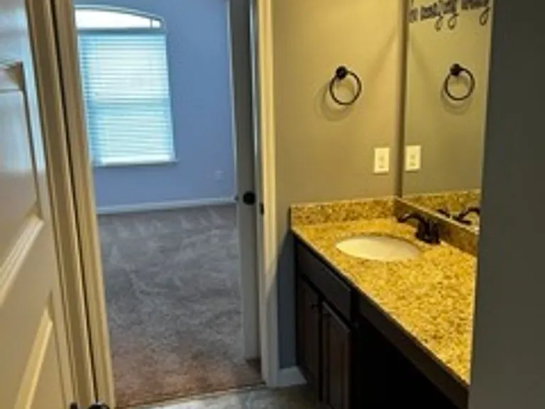 623 Meadow Grass Ln — Photo 16