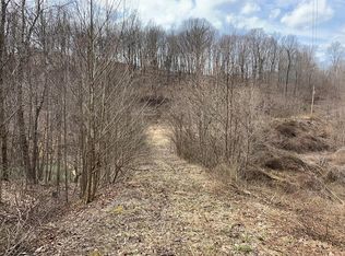 3537 Mount Hope Rd, Otway, OH 45657