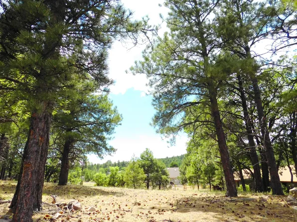 938 S Torrey Pines Dr, Williams, AZ 86046