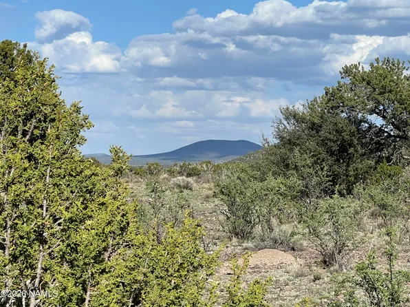 4800 Whitetail Loop, Williams, AZ 86046