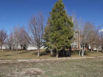 160 N 100 W, Fillmore, UT, 84631